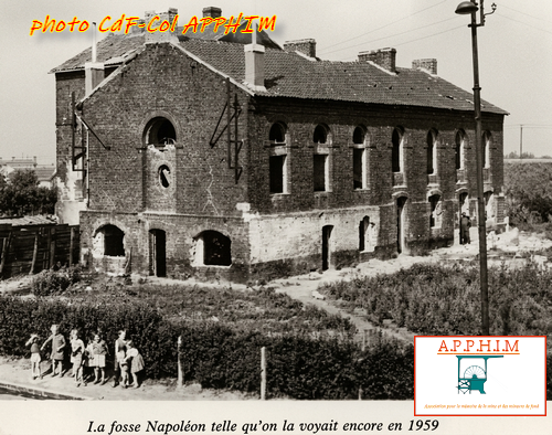 anzinnapoleon05.png