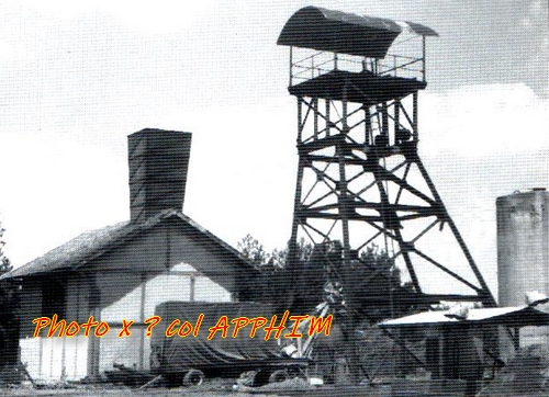 lentin01.jpg