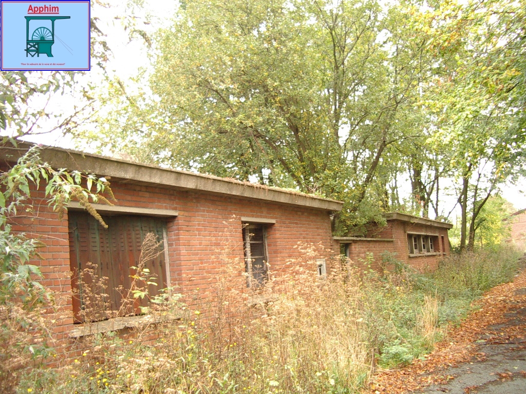 5_12_sallaumines_1987