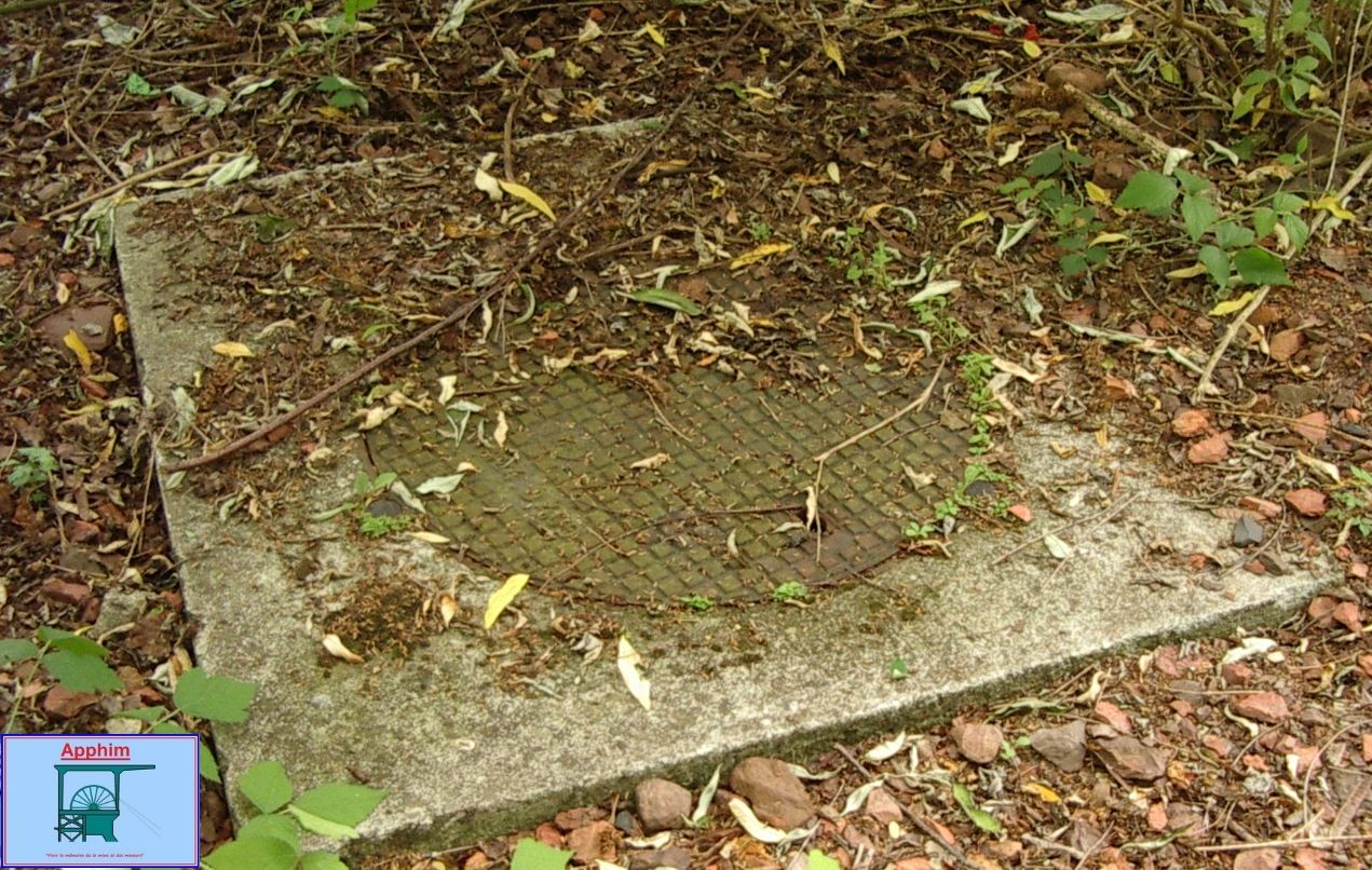 b_timents_fosse_4_de_dourges_2009__4_