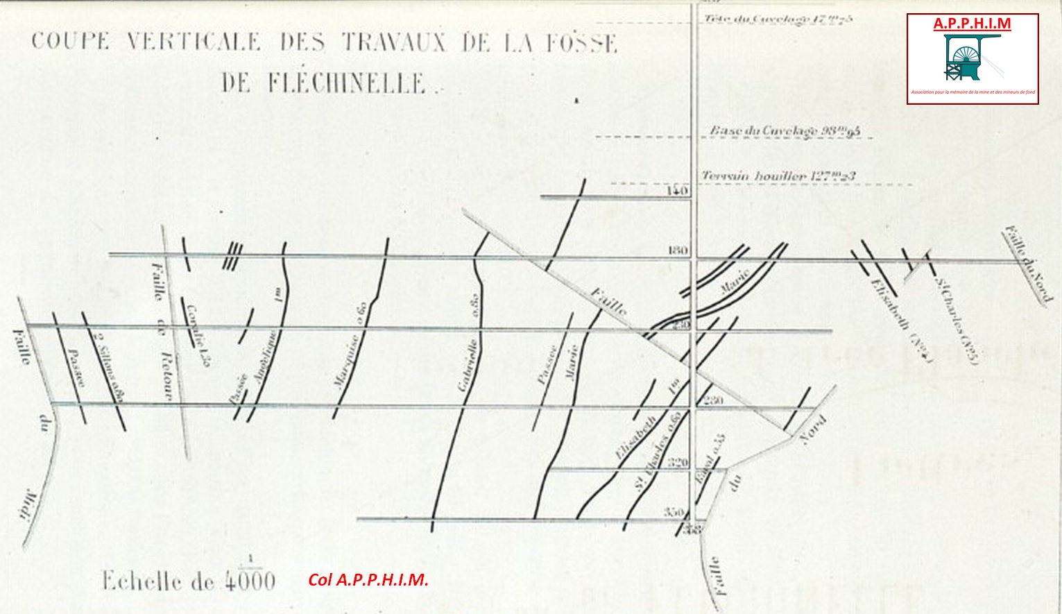 fle11coupe01.jpg