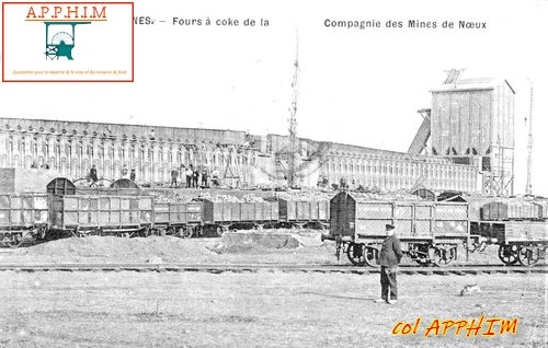 noeuxcokerie01.jpg