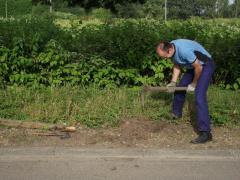 Catastrophe de la Clarence 2012