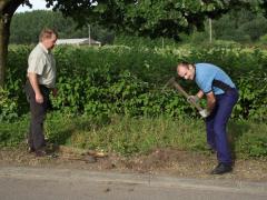 Catastrophe de la Clarence 2012