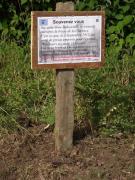 Catastrophe de la Clarence 2012