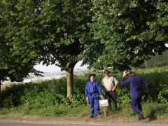 Catastrophe de la Clarence 2012