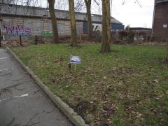 Catastrophe de Courrières 2013